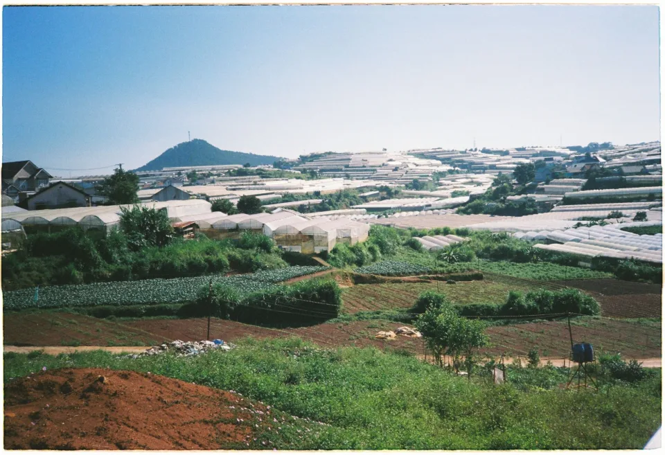 Dụng cụ thu hái