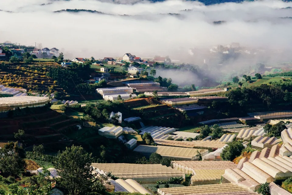 Xe chở nông sản